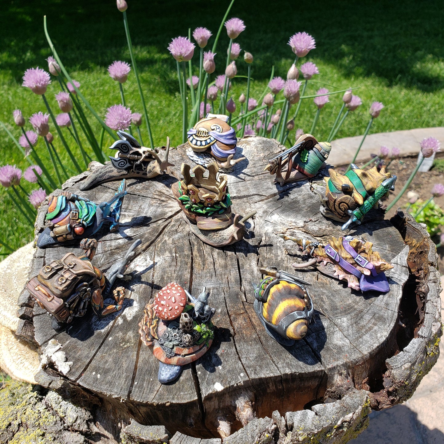 Snail Quest Set