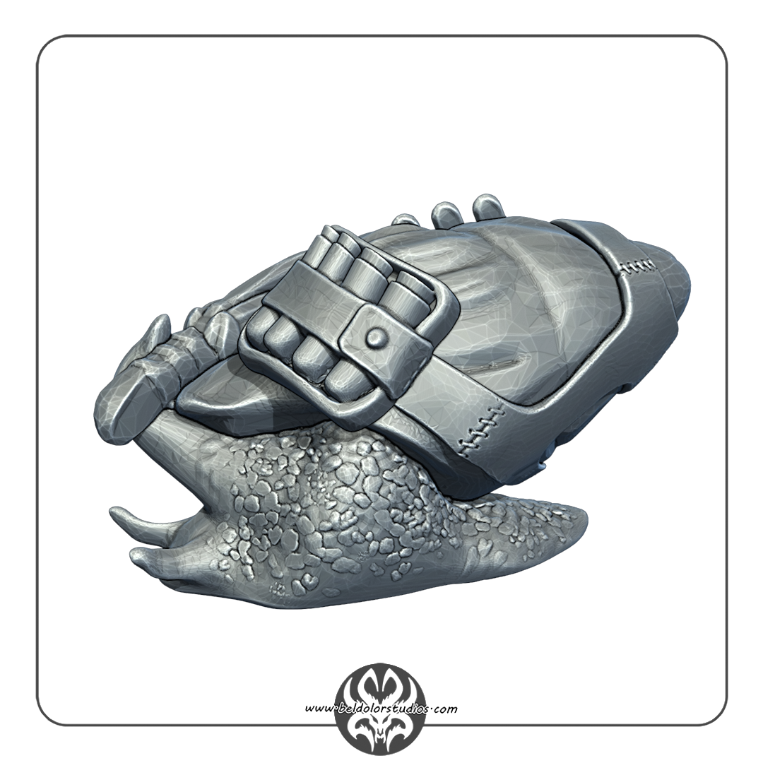 Snail Quest Set