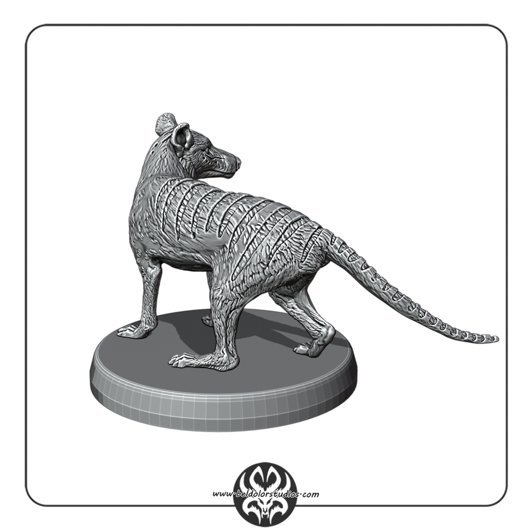 Thylacine