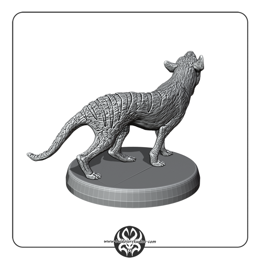 Thylacine