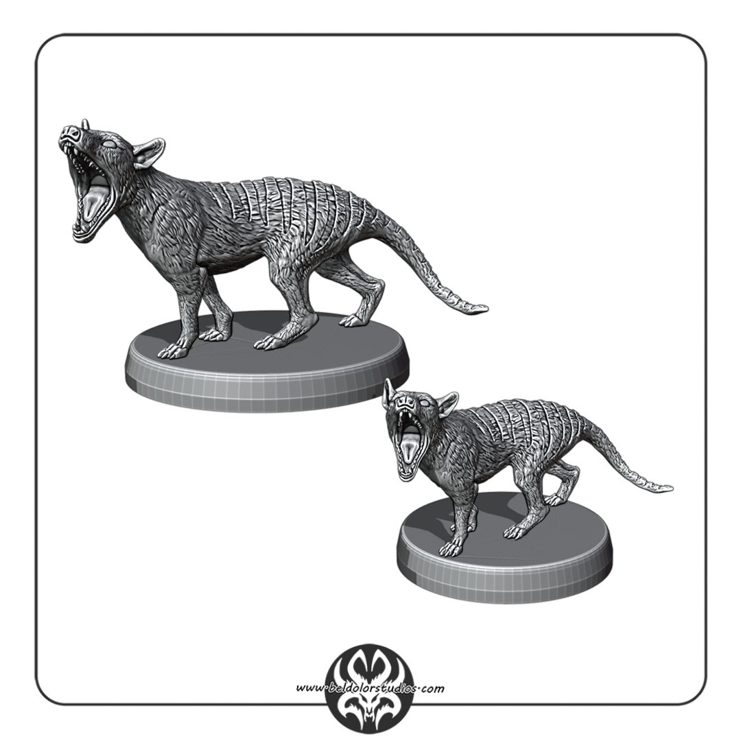 Thylacine