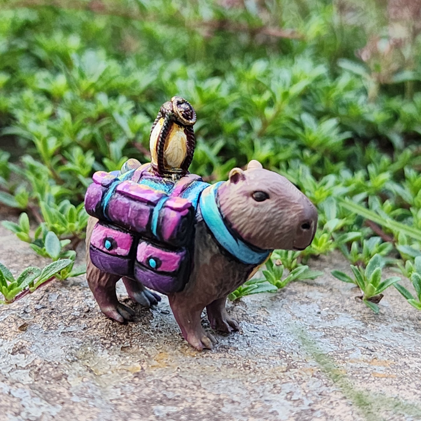 Adventuring Capybara