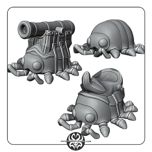 Isopod