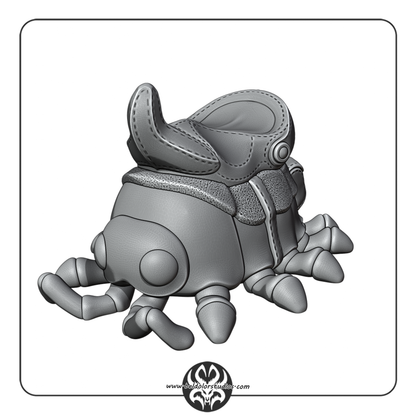 Isopod