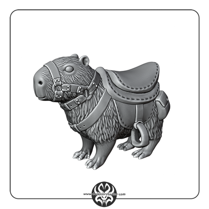 Capybara