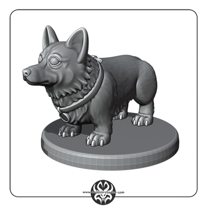 Dog, Corgie
