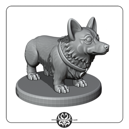 Dog, Corgie