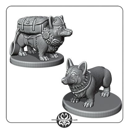 Dog, Corgie