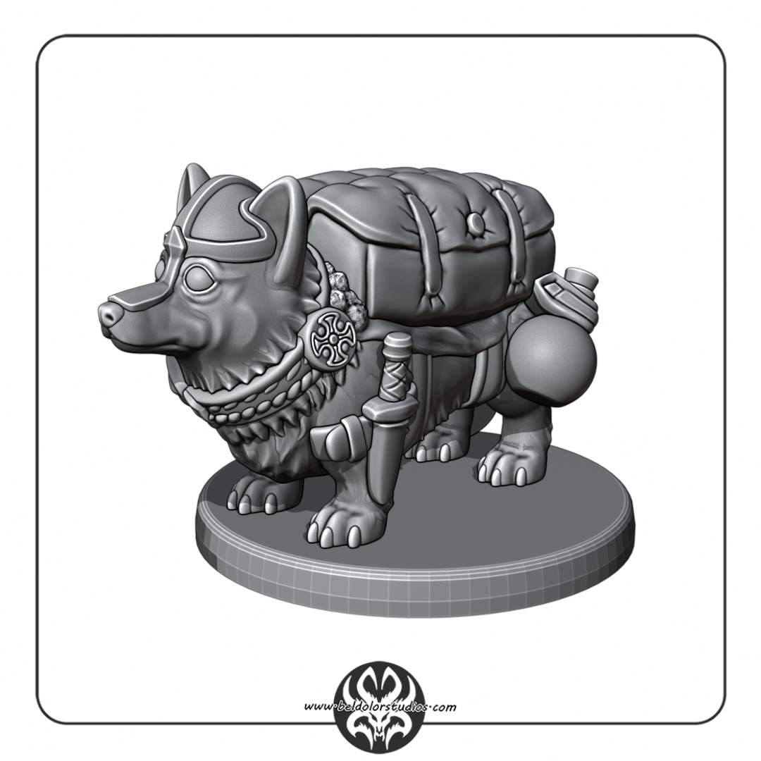 Dog, Corgie