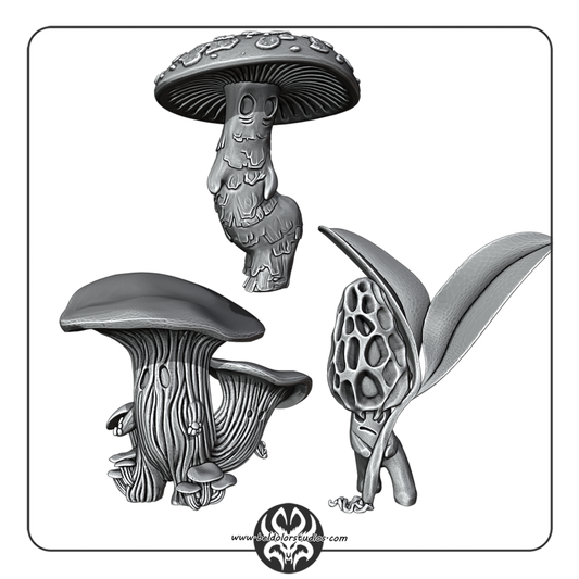 Mycelimae