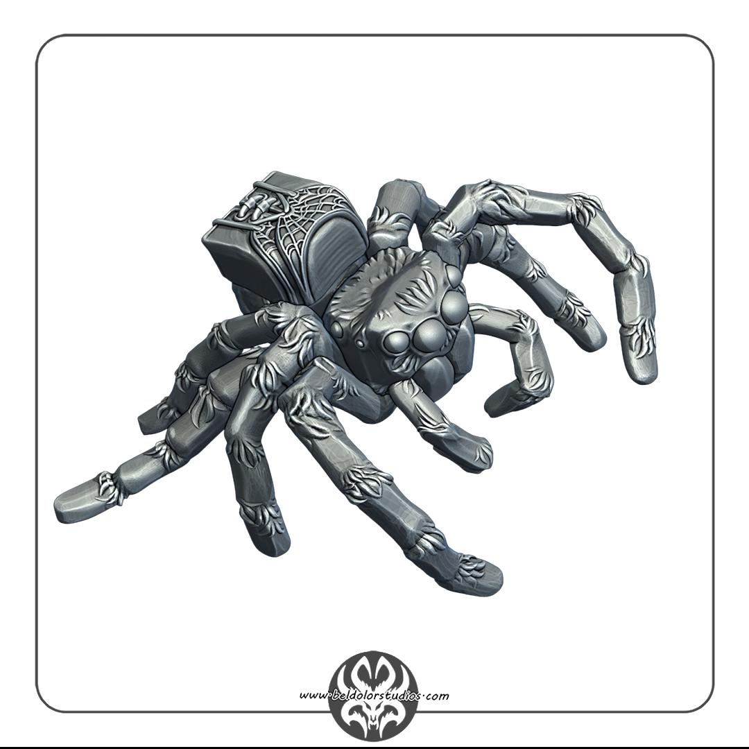 Spider