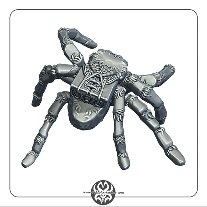 Spider