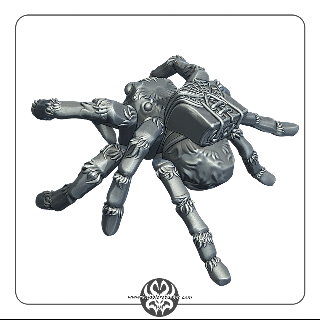 Spider