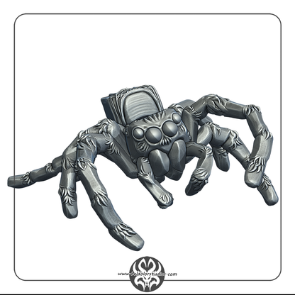 Spider