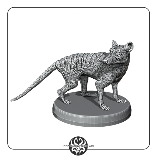 Thylacine