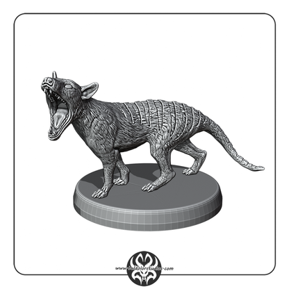 Thylacine