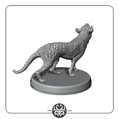 Thylacine