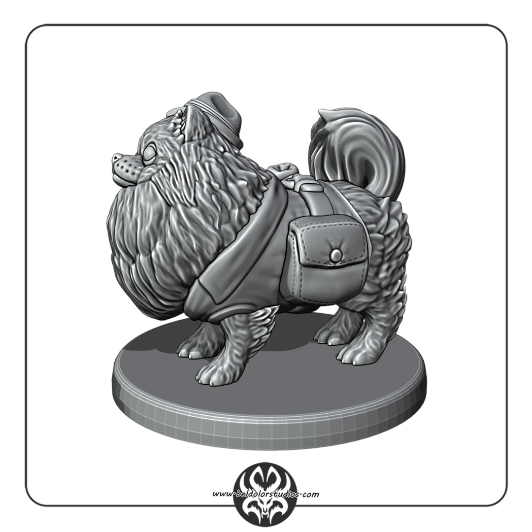Dog, Pomeranian